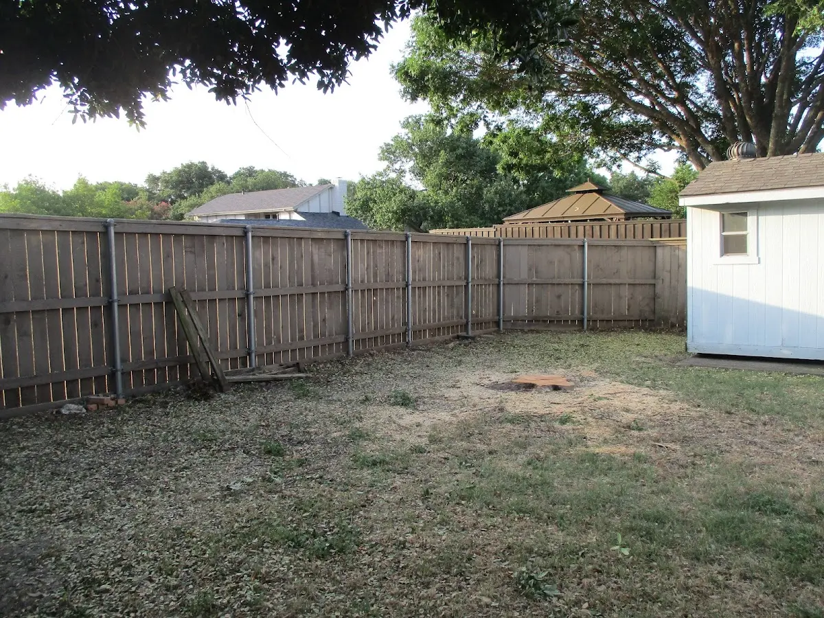 Cleared yard after professional tree removal in Bloomingdale